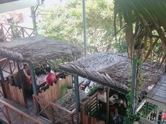 -Rainforest