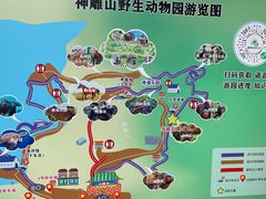 -西霞口神雕山野生动物世界