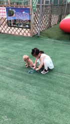 -萌宠亲子动物乐园(槐房万达店)