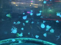 -南昌融创海世界