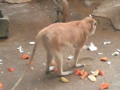 -石家庄市动物园