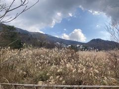 -浙西天池景区