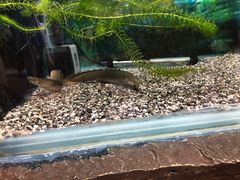 -上海大自然野生昆虫馆
