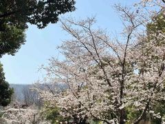 -苏宁钟山国际高尔夫酒店大堂酒廊