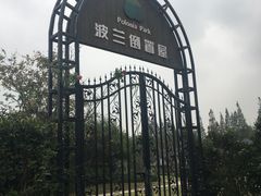 -金山农民画村-枫泾波兰倒置屋