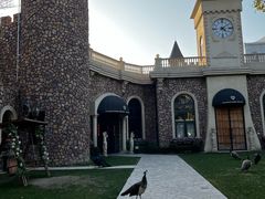 -J Create城市露营咖啡·简餐·宠物(上海动物园店)