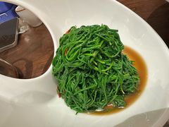 -靖远尕六美味羊羔肉