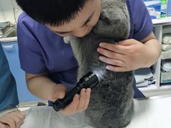 -邢大夫动物医院
