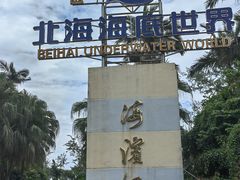 -北海海底世界