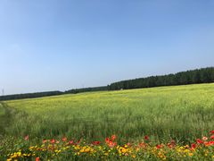 -塞罕坝国家级自然保护区