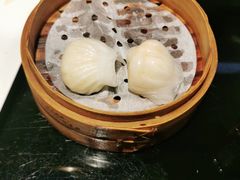 -高第街56号餐厅(银座商城玉函店)