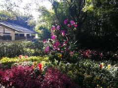 -广州市石门国家森林公园