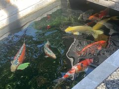 -西安市广仁寺