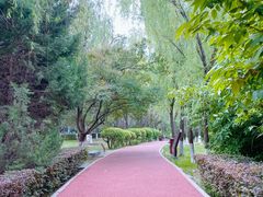 -西安汉城湖景区