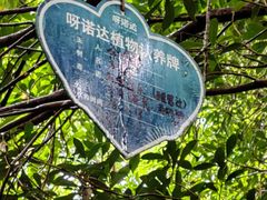 -呀诺达热带雨林