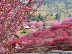 -石岛赤山风景区