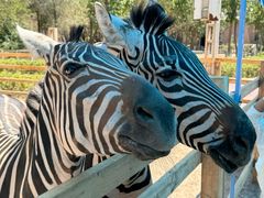 -水上乐园·欢乐世界