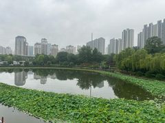 -木塔寺遗址生态公园