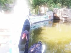 -济南南郊宾馆