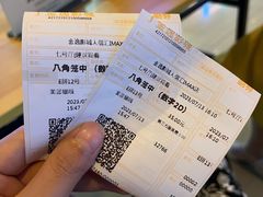 -金逸影城(武汉人信汇IMAX店)