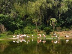 -杭州野生动物世界