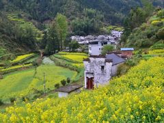 -婺源风景区