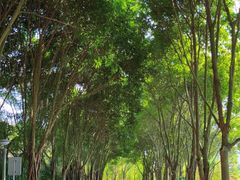 -南宁花花大世界景区