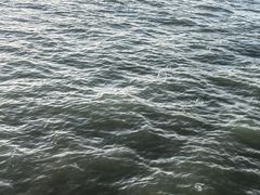 -演武大桥观景平台