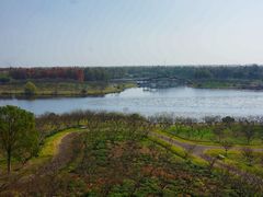 -上海海湾国家森林公园