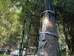 -湖北美术学院(昙华林校区)