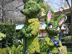 -上海迪士尼度假区