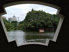 -晓港公园