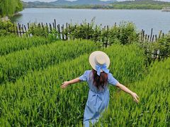 -天目湖山水园