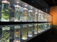 -广东中医药博物馆