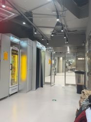 -G-STEPS舞蹈工作室