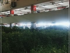 -上海浦东国际机场T1航站楼-P1停车场