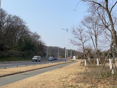 -南京老山国家森林公园