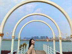 -九龙湖公园