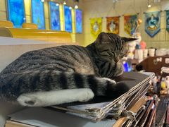 -逃脱反斗城沉浸剧情密室(北京路店)