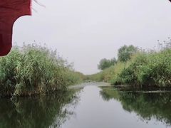 -白洋淀景区