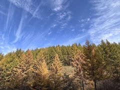 -蒙亨·手把肉·蒙古包文化主题餐厅(天恒广场店)