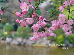 -郑和公园