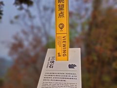 -南山植物园