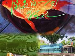 -酷鱼垂钓CLUB(朝阳区博大路店 )