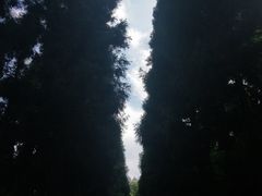 -贵州省植物园