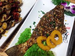 -福苗小骆驼烧烤(大唐不夜城店)