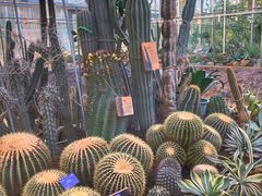 -国家植物园南园