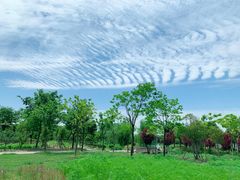 -歌斐颂巧克力小镇