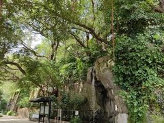 -九龙公园