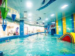 -楠木种子游泳馆(李沧万达店)
